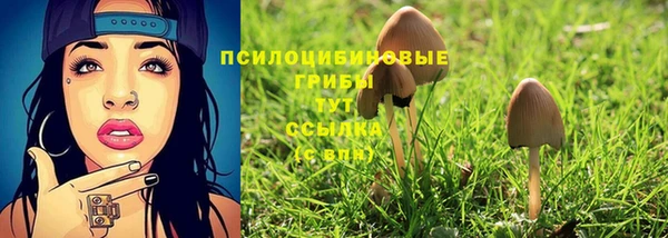 тгк Кулебаки