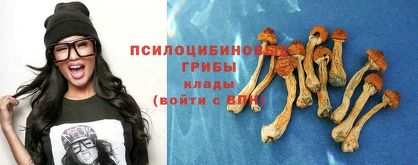 mdpv Кинешма