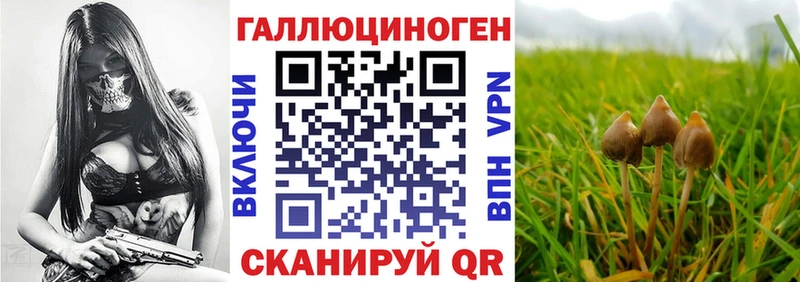 Псилоцибиновые грибы GOLDEN TEACHER Купить Железноводск